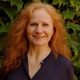 Schweitzer-Petrowsky