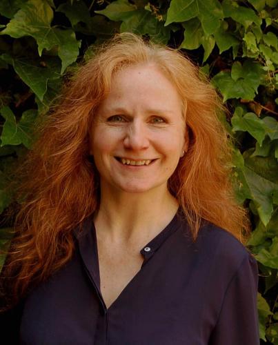 Schweitzer-Petrowsky